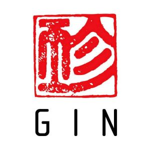 Gin Paramotor Riser Set