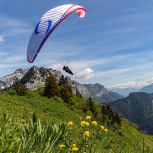 Supair SAVAGE paraglider