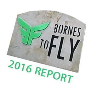 Bornes To Fly 2016 tactical review