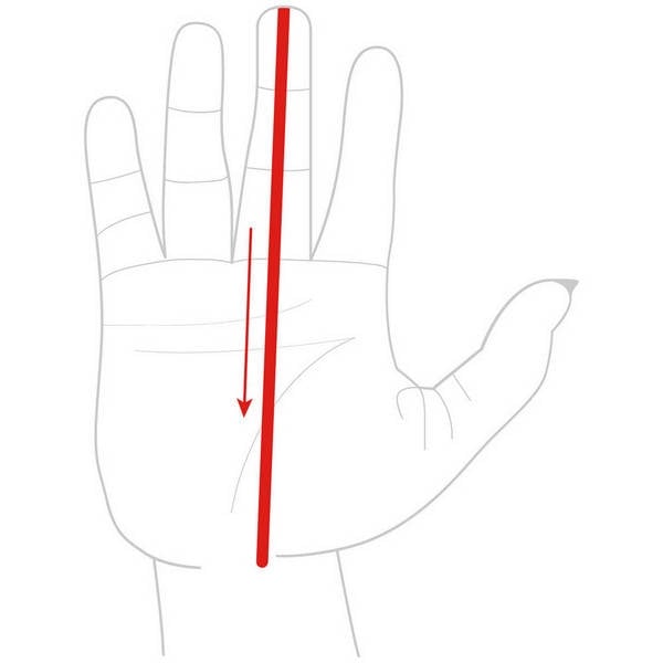 Hand length (palm)